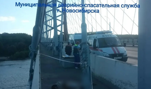 Красная арка Бугринского моста в Новосибирске, где произошел смертельный инцидент