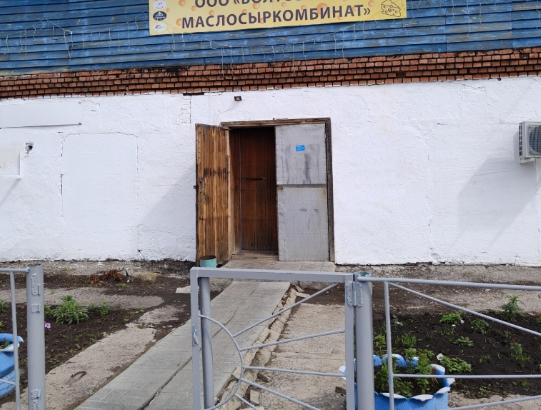 Производственная линия по изготовлению головок сыра на заводе